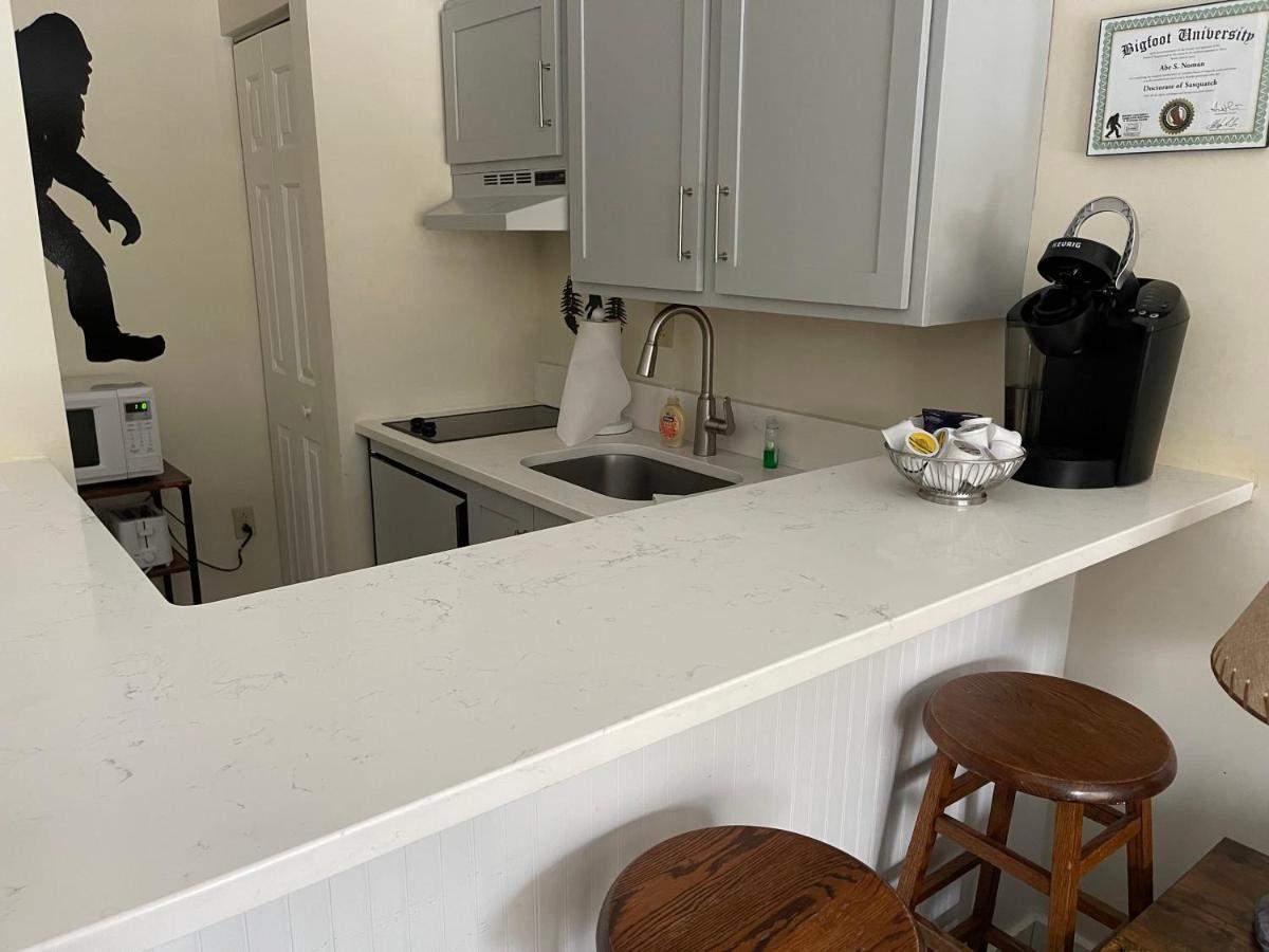 Ski On Off 1Br Suite 1St Flr Sleeps 4 Jiminy Peak Ханкок Экстерьер фото